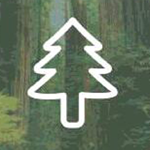 Redwoods.png